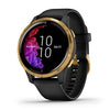 Garmin Venu, AMOLED GPS Smartwatch, Gold with Black Band